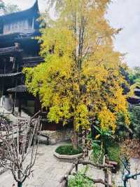 【張家界土司城】輕鬆好逛的景區,小角落都很出片