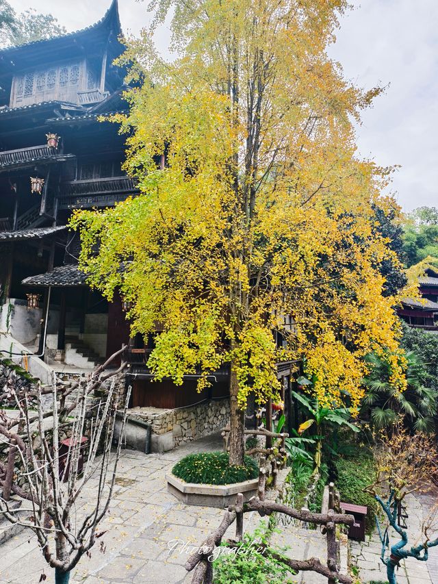 【張家界土司城】輕鬆好逛的景區,小角落都很出片 【張家界土司城】輕鬆好逛的景區,小角落都很出片