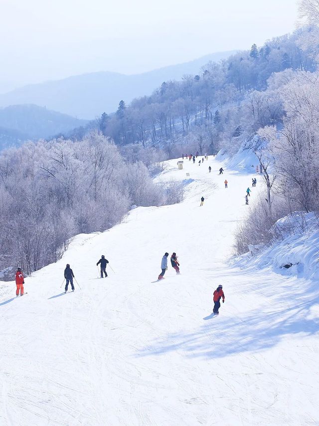 亞布力A5雪道開放，勇者之路等你挑戰