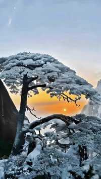 雲海仙境暴走指南黃山1日遊保姆級攻略! 地址:安徽省黃山市黃山區205國道 必去理由 五嶽