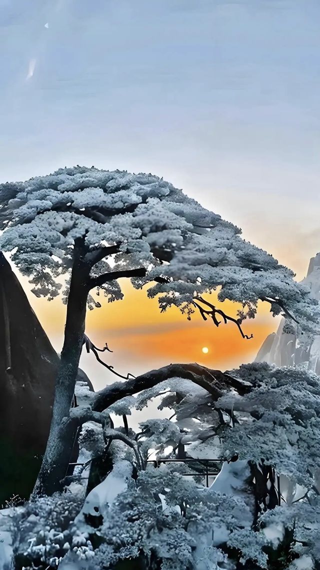 雲海仙境暴走指南黃山1日遊保姆級攻略! 地址:安徽省黃山市黃山區205國道 必去理由 五嶽 雲海仙境暴走指南黃山1日遊保姆級攻略! 地址:安徽省黃山市黃山區205國道 必去理由 五嶽