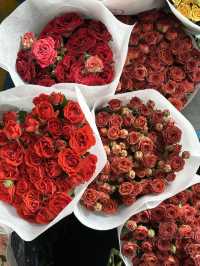 5天玩轉昆明超全攻略速來收藏