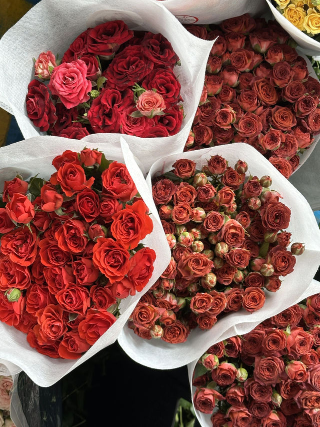 5天玩轉昆明超全攻略速來收藏 5天玩轉昆明超全攻略速來收藏