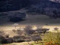 景點小評測——烏蘭布統