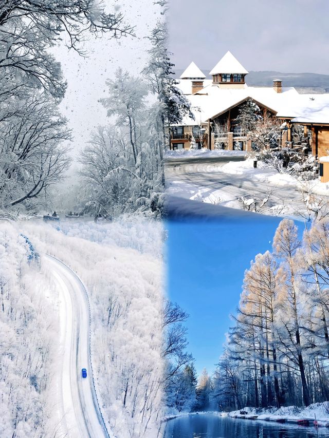 長白山下雪了你還不來嗎 長白山下雪了你還不來嗎