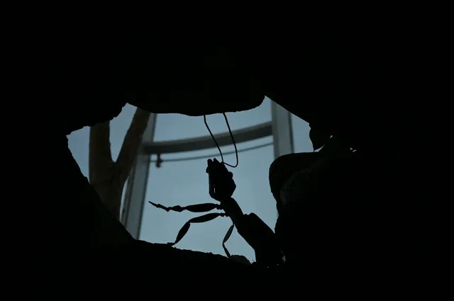 日落前入園！溫室花園日夜場一次看完