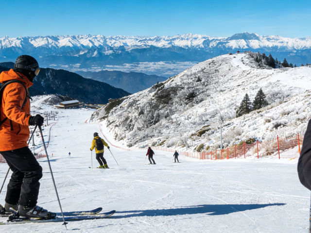 Wuling Farm Ski Slope: Ski & Farm Fun – Taiwan’s Coziest Winter Combo!