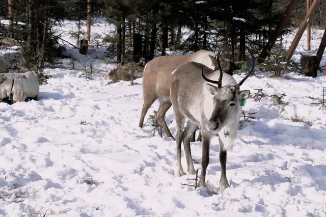 一日速通老里克湖&長白山北坡攻略