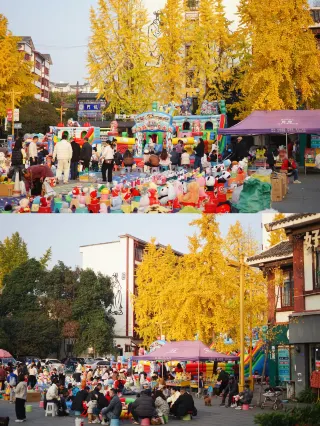 Wenjiang hides a "Forbidden City," and it's so beautiful framed with ginkgo trees! 🍂