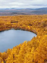 北京自駕阿爾山追秋