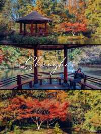 魔都秋日私藏共青森林的治癒漫遊手記