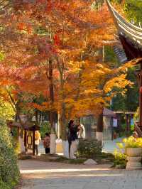 清涼山公園才是金陵賞秋天花板!