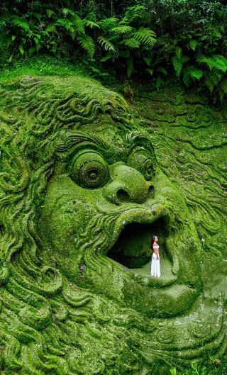 8K full screen— I specifically went to Bali for these photos…