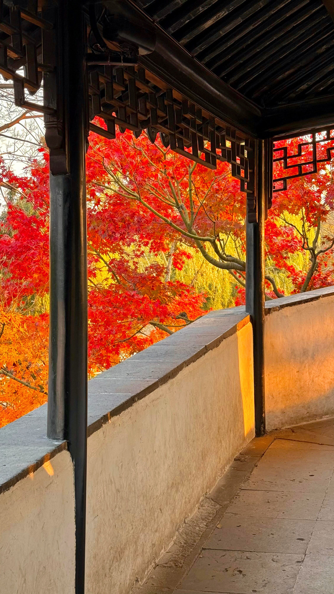 蘇州の庭園、秋の神話級の美しさを開く | Trip.com 蘇州