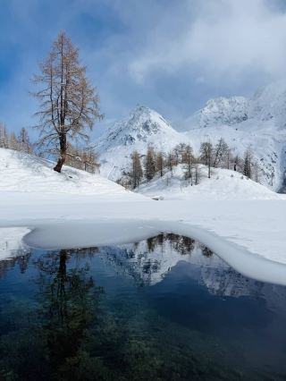 A day in the snow-capped mountains: powdery snow, a deserted little blue lake, a delicious meal in the mountains, and the chance to pet a raccoon dog.
