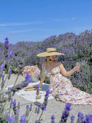 紫の夢のようなプロヴァンスへ無料で行こう