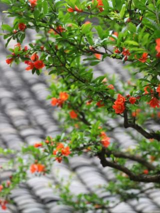 วัดเอ้อหลาง ซึ่งซ่อนตัวอยู่ลึกในภูเขา เป็นสถานที่ท่องเที่ยวที่มีเอกลักษณ์เฉพาะตัวในประเทศจีน โดยมีเทพเจ้าสามองค์ประดิษฐานอยู่ในวัดเดียวกัน