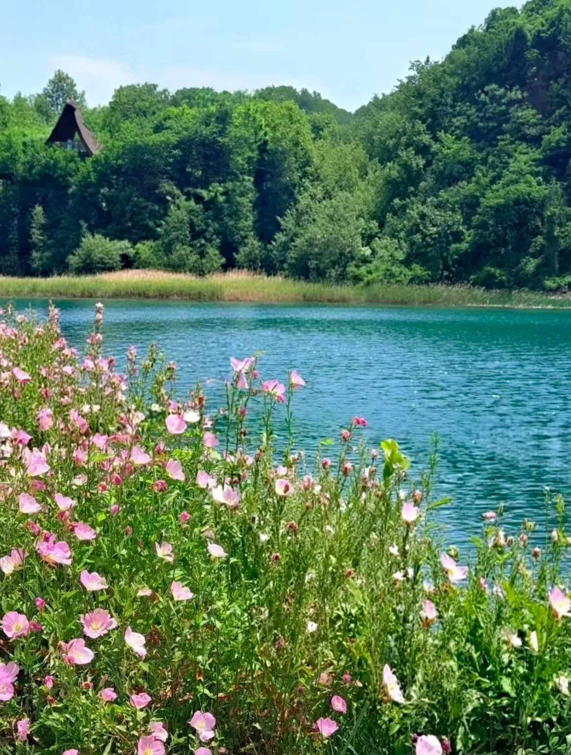 Romance Hidden in the Pottery Capital｜Huanglongshan Mineral Park, Encounter the Stunning Emerald Mine Pit Lake