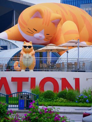 上海に猫をテーマにした街が登場!入場料なしで素晴らしい写真撮影スポットが満載です!