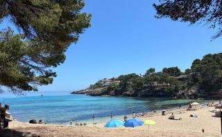 Perfect Beach Location with Amazing Amenities