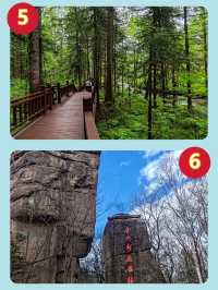 個城市親測，人少景美還省錢