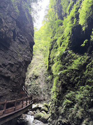 重慶黑山谷避暑攻略