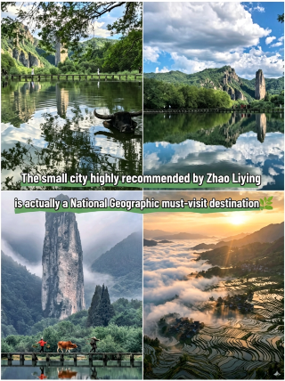 Beyond the drama filter: Jinyun is more than just fantasy—discover the southern Zhejiang town favored by National Geographic