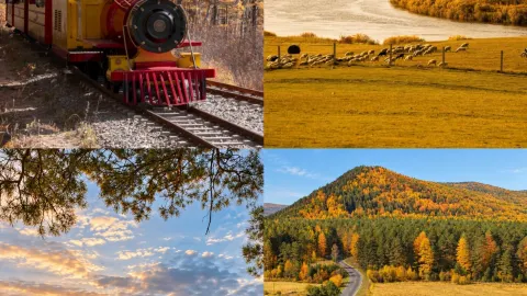 October Greater Khingan Mountains autumn travel guide! This autumn fairytale is legendary. — traveler post in Mohe