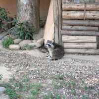 新竹動物園