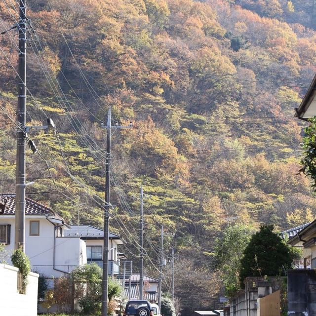 【鬼怒川温泉→日光観光】【大学生必見】コスパ最強の旅！