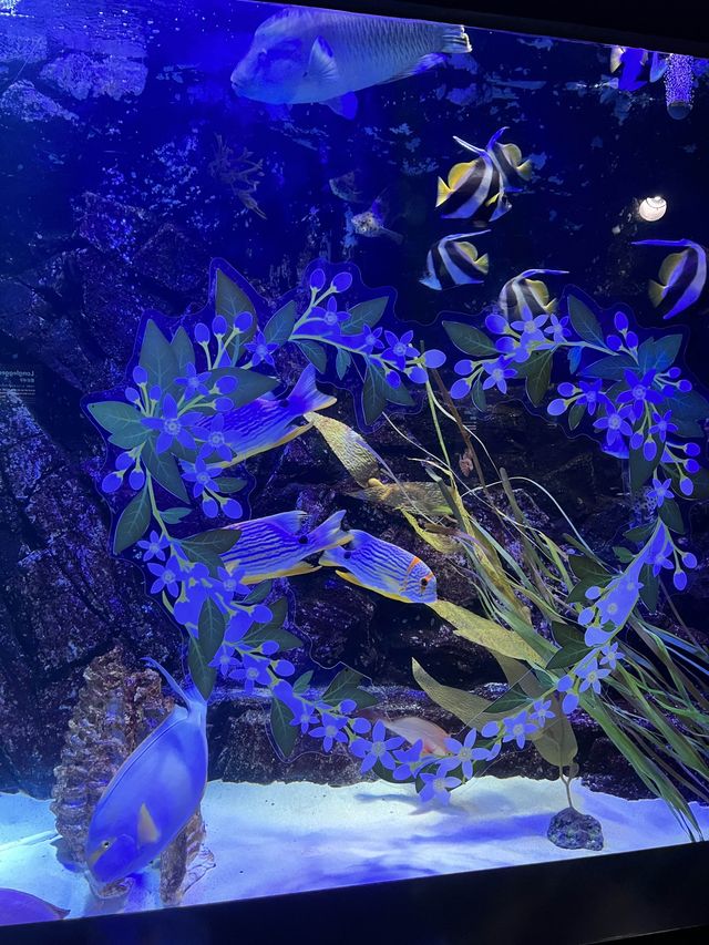 주말데이트로 아쿠아플라넷 일산에서 동심의 세계로 돌아가기🐠❤️