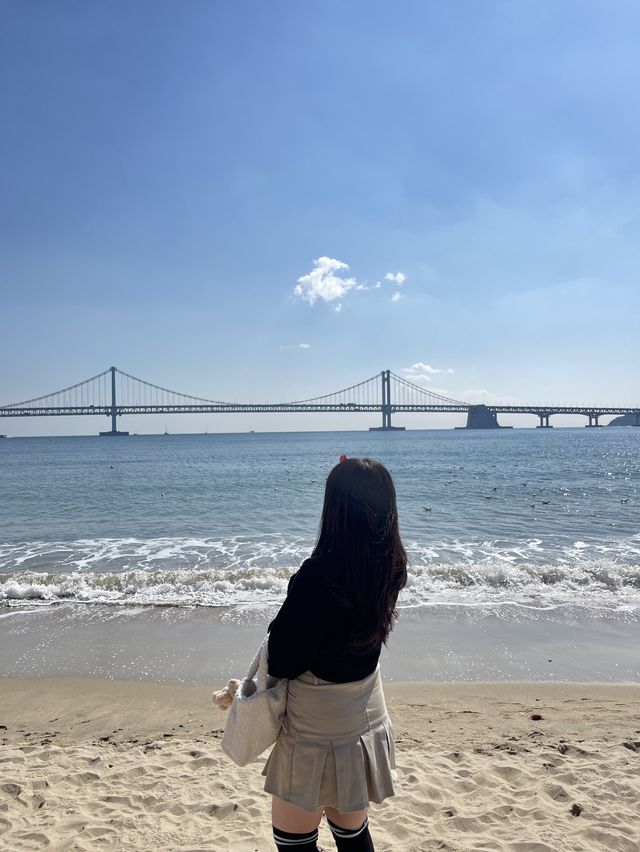 뚜벅이도 가능한 부산 당일치기 코스 추천!🌊