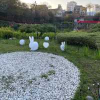 台中市西屯區 ｜ 秋紅谷景觀生態公園
