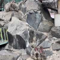 【長野県/長野市城山動物園と遊園施設】