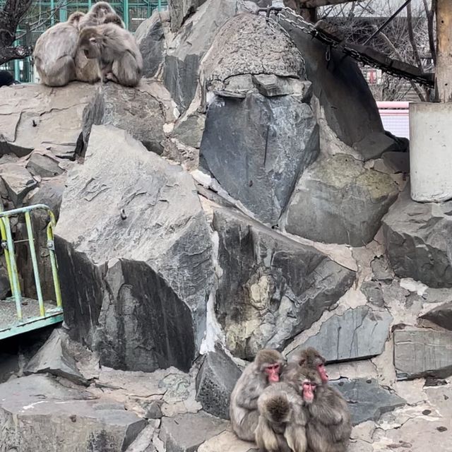 【長野県/長野市城山動物園と遊園施設】