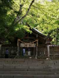 【諏訪大社】御柱祭の御神木は裏側を含めて圧巻
