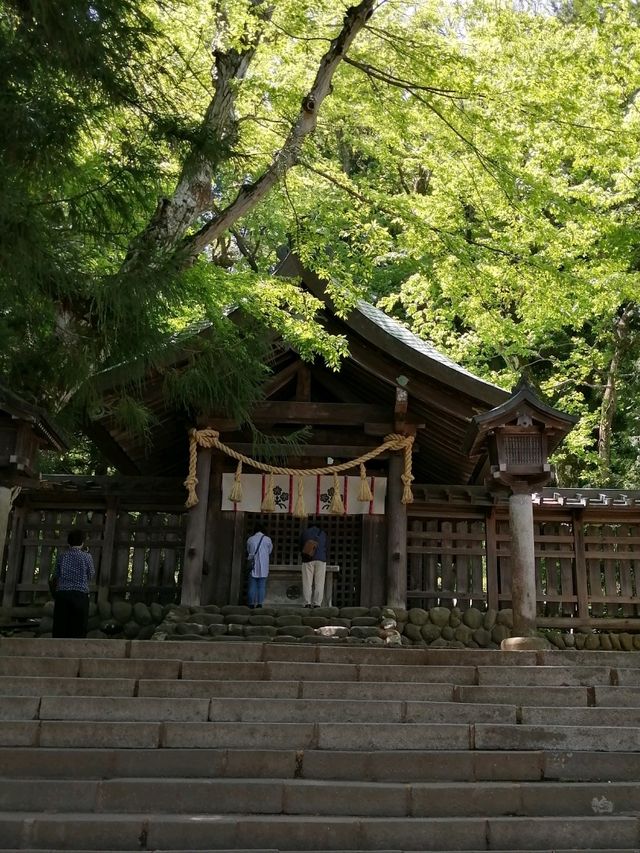 【諏訪大社】御柱祭の御神木は裏側を含めて圧巻