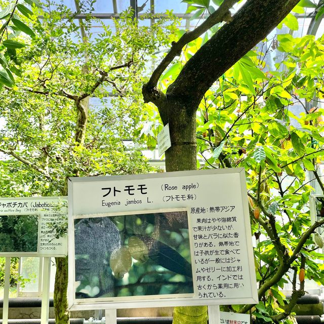 温室たくさん！雨の日でも安心