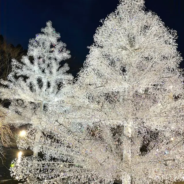 神奈川県　箱根　ガラスの森美術館