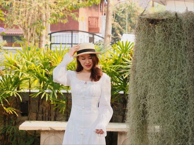 🌿 ทริปนี้เราจะพาทุกคนไปฮีลใจที่ "เชียงราย เชียงใจ"