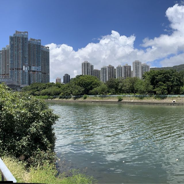 良辰美景屯門河