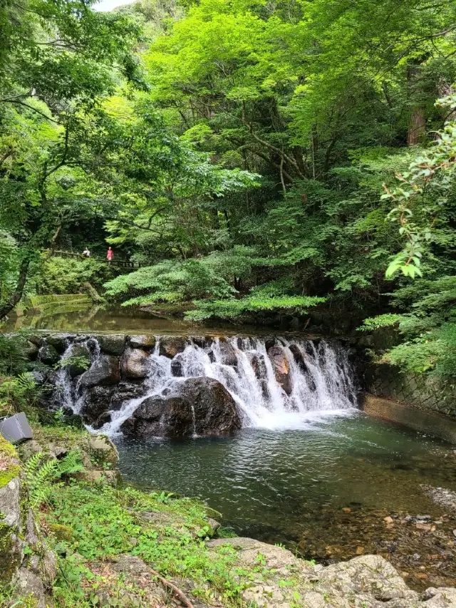 【大阪】滝道を散策をしよう