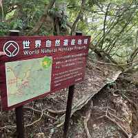 【鹿児島・屋久島】世界遺産の縄文杉に✨