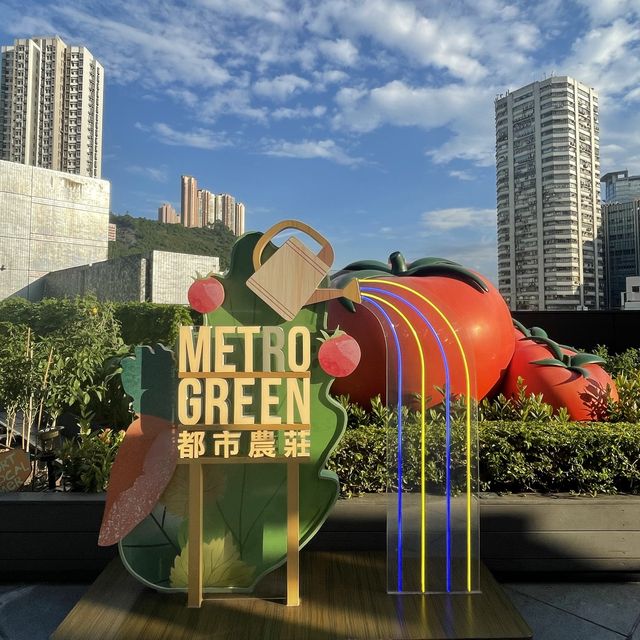 都市中既一點綠洲
