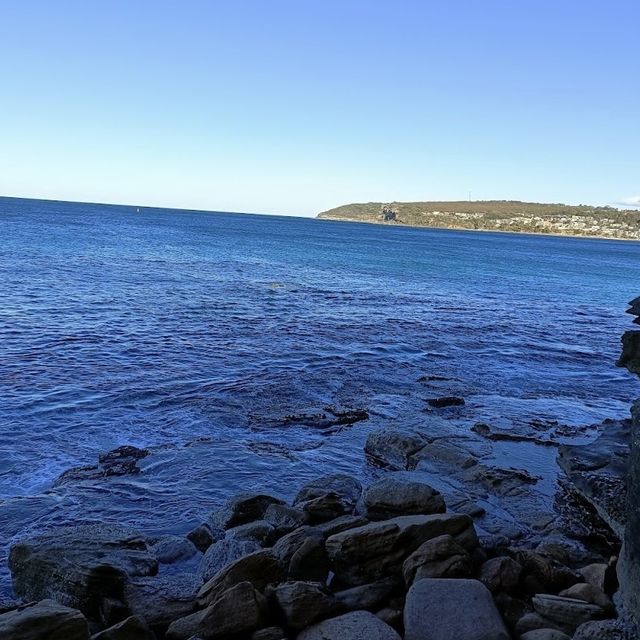 Hidden Gem in Manly 
