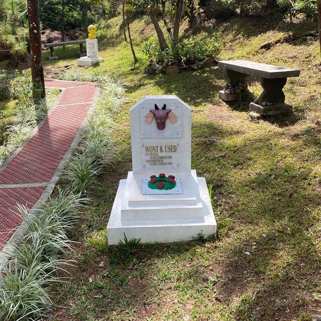 Not your typical Cemetery 🪦