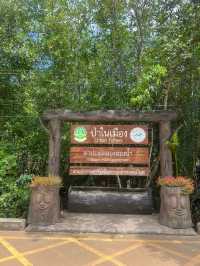 เที่ยวคลองท่าปอม มหัวจรรย์คลองสองน้ำ 