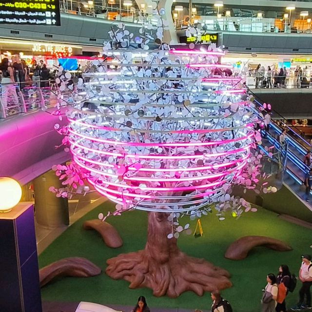 Doha Transit