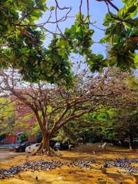 A must visit Park in Bengaluru 😍 