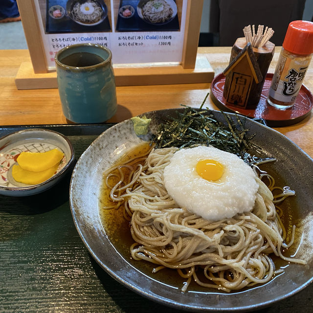 夏天的日本白川鄉